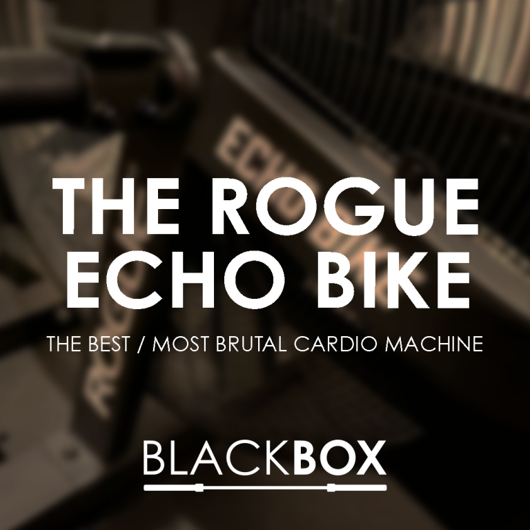 Read more about the article The Rogue Echo Bike